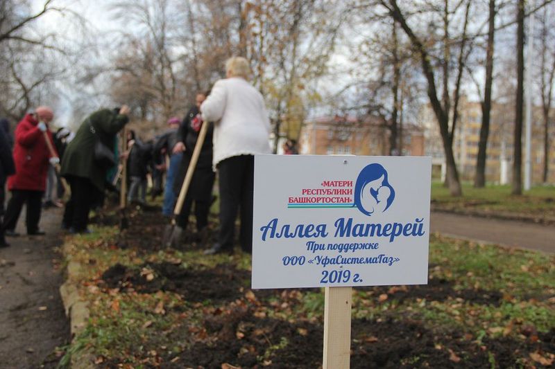 В Калининском районе появилась Аллея Матерей
