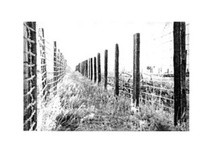 В УФЕ СОБИРАЮТ ДАННЫЕ О ПОГИБШИХ В ФАШИСТСКОМ КОНЦЛАГЕРЕ