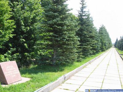 В Липецке появится аллея ветеранов боевых действий