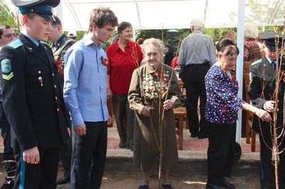 «Аллея памяти» о великом подвиге народа 