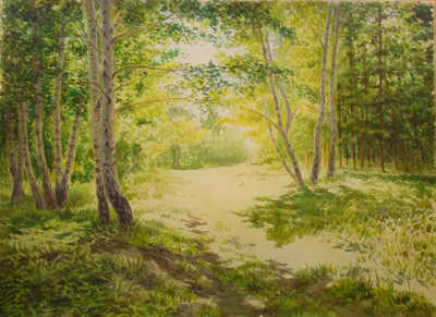 Священнослужитель, который освятил Стелу памяти для ДРА, открыл выставку «Красота Божьего мира»