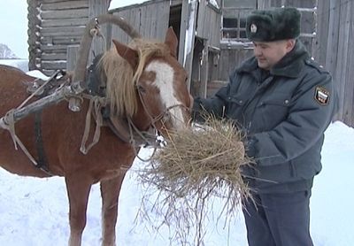 В АСКИНСКОМ РАЙОНЕ БАШКИРИИ УЧАСТКОВЫЙ СЛУЖИТ ВМЕСТЕ С ЛОШАДЬЮ