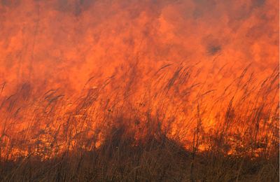 Огненный вал Юрия Шеина